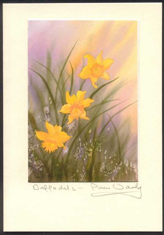 Greetings card of Daffodil flowers