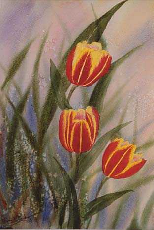 Tulips - flowers
